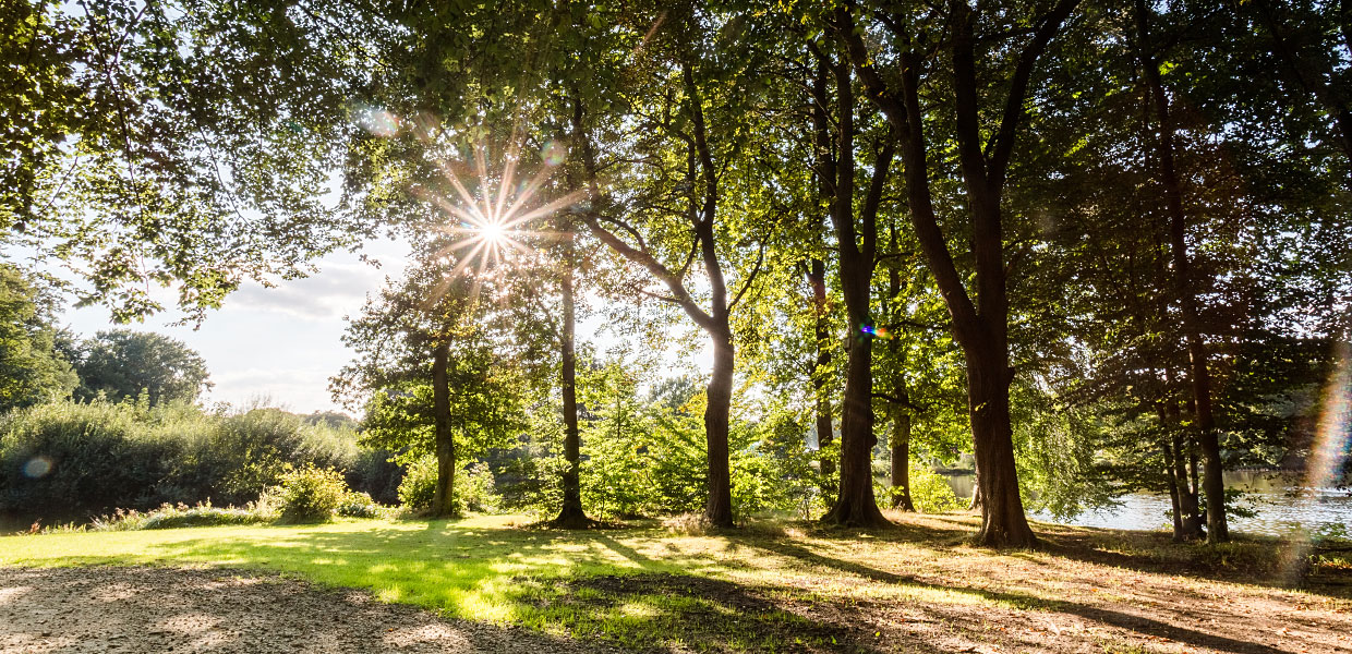 Schlosspark Ellernteich Rastede