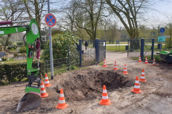 Zwei neue Linden für den Friedhofsweg