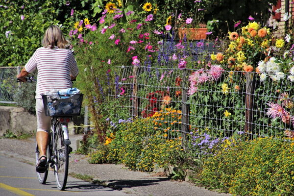 Rasteder Radfahrerinnen und Radfahrer